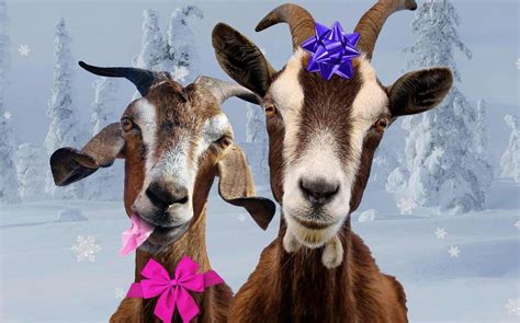 Five Oxfam Gifts that will work for anyone on your .